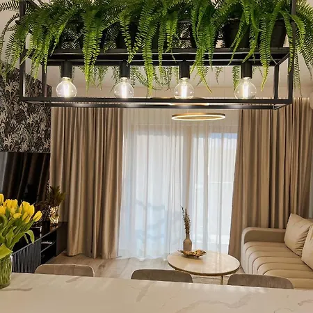 Jungle Valley, Nadmotlawie, Old Town * 格但斯克